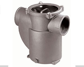 Side Intake 2” Strainer