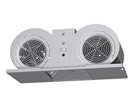 Twin type Exhaust system for Engine